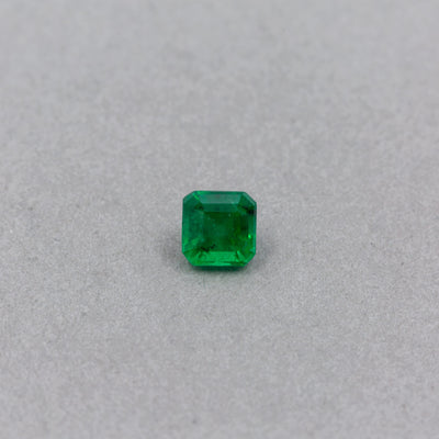 0.47 Carat Emerald - Emerald